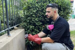 הדברת מכרסמים עם החרק שנמחק — בר בפעולה