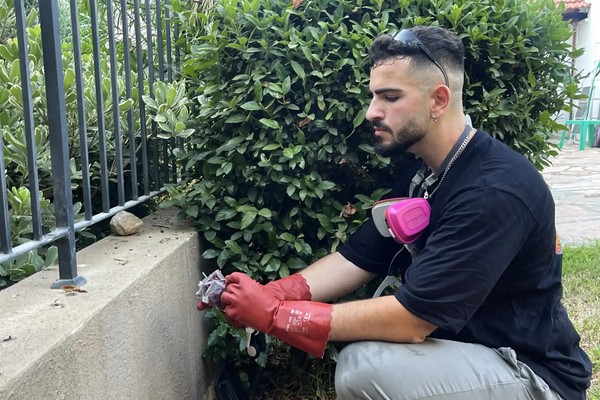 הדברת מכרסמים עם החרק שנמחק — בר בפעולה