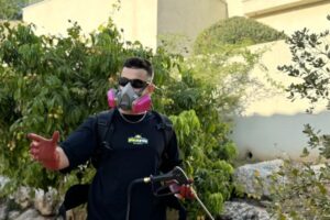 הדברת חילזון אפריקאי ענק — מדביר בר אסולין בטיפול